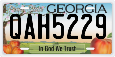 GA license plate QAH5229