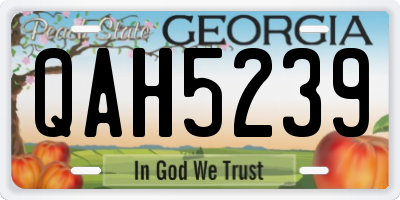 GA license plate QAH5239