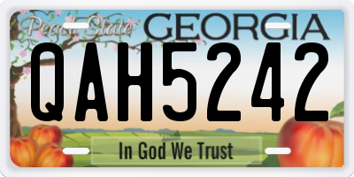 GA license plate QAH5242