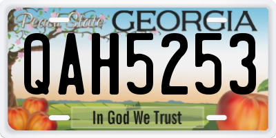 GA license plate QAH5253