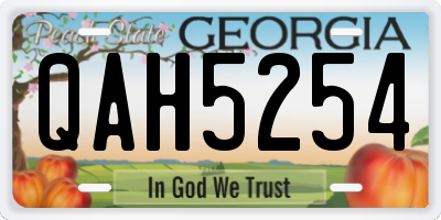 GA license plate QAH5254