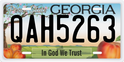 GA license plate QAH5263