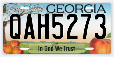 GA license plate QAH5273
