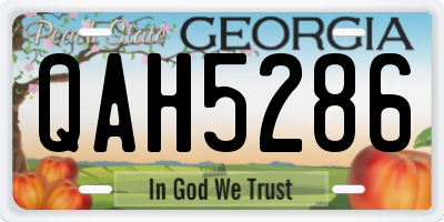 GA license plate QAH5286