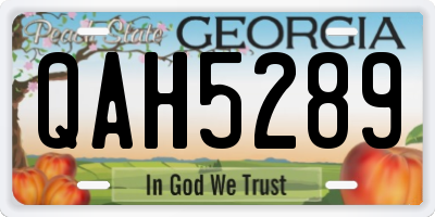 GA license plate QAH5289