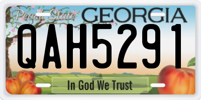 GA license plate QAH5291
