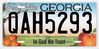 GA license plate QAH5293