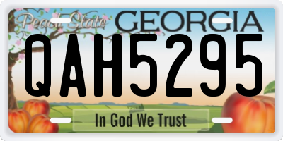 GA license plate QAH5295