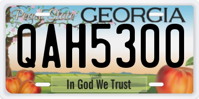 GA license plate QAH5300