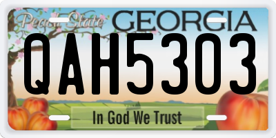 GA license plate QAH5303