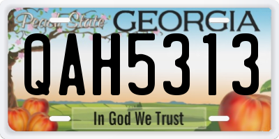 GA license plate QAH5313