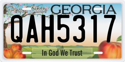 GA license plate QAH5317