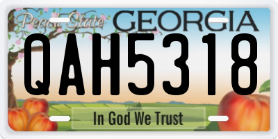 GA license plate QAH5318