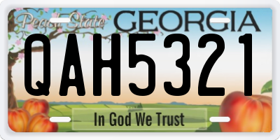 GA license plate QAH5321