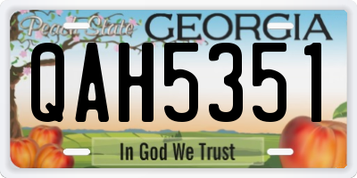 GA license plate QAH5351