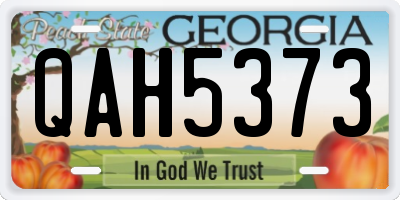 GA license plate QAH5373