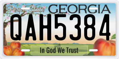 GA license plate QAH5384