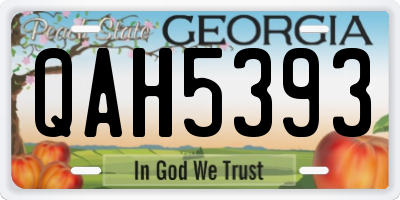 GA license plate QAH5393