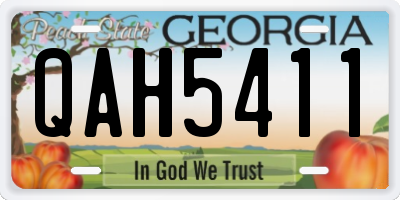 GA license plate QAH5411