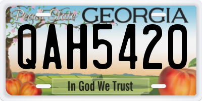 GA license plate QAH5420