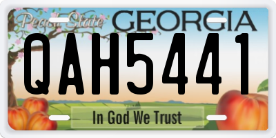 GA license plate QAH5441