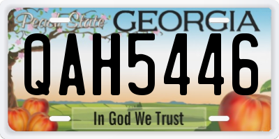 GA license plate QAH5446