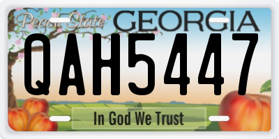 GA license plate QAH5447