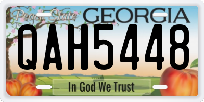 GA license plate QAH5448