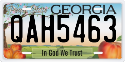 GA license plate QAH5463