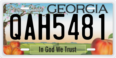GA license plate QAH5481