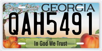 GA license plate QAH5491
