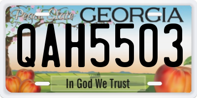 GA license plate QAH5503