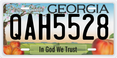 GA license plate QAH5528