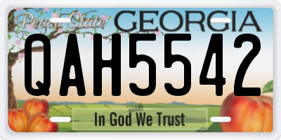 GA license plate QAH5542
