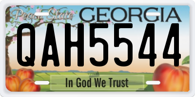 GA license plate QAH5544