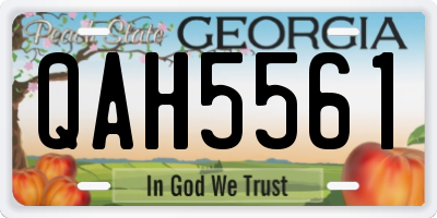 GA license plate QAH5561