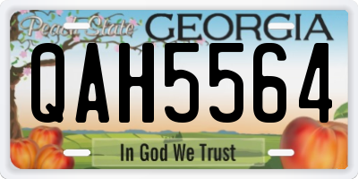 GA license plate QAH5564