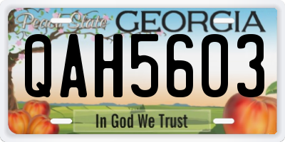 GA license plate QAH5603