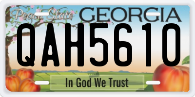 GA license plate QAH5610