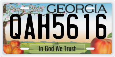 GA license plate QAH5616