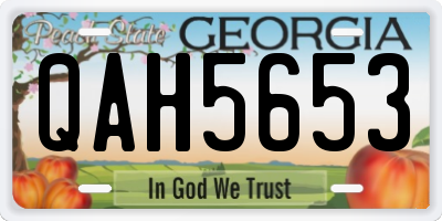 GA license plate QAH5653