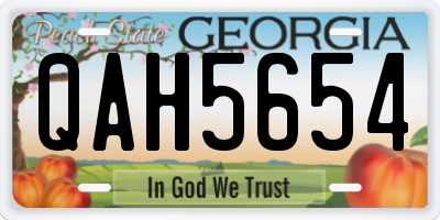 GA license plate QAH5654