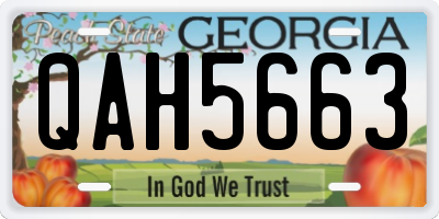GA license plate QAH5663