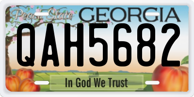 GA license plate QAH5682