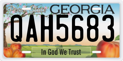 GA license plate QAH5683