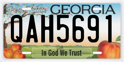 GA license plate QAH5691