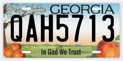 GA license plate QAH5713