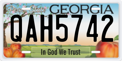 GA license plate QAH5742