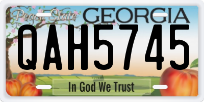 GA license plate QAH5745