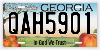 GA license plate QAH5901